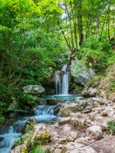 Montenegro reis ja loodusmatk - Tara jõgi