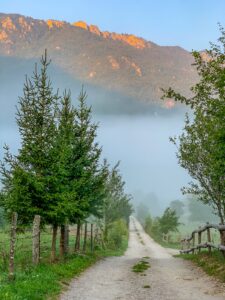 Montenegro reis ja loodusmatk - Tara jõgi