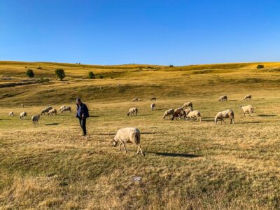 Montenegro reis ja loodusmatk - Durmitori rahvuspark