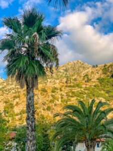 Montenegro reis ja loodusmatk - Kotor