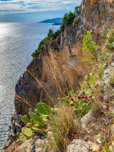 Montenegro reis ja loodusmatk - Budva