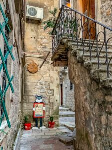 Montenegro reis ja loodusmatk - Kotor