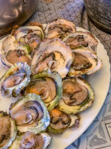 Montenegro reis ja loodusmatk - Kotor laht