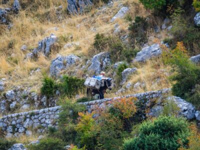 Montenegro reis ja loodusmatk - Kotor
