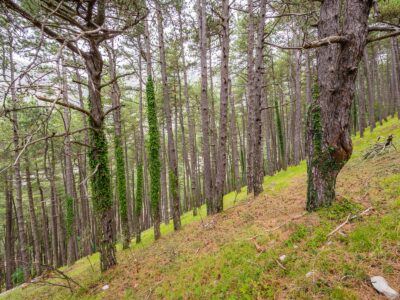 Montenegro reis ja loodusmatk - Kotor