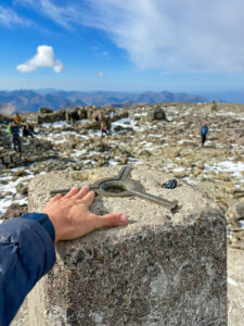 1345m - Ben Nevis tipp. Šotimaa loodusmatk - Põhja-Šoti mägismaa reis, aprill 2025