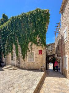 Montenegro reis ja loodusmatk - Budva