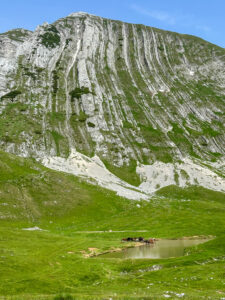 Montenegro reis ja loodusmatk - Durmitori rahvuspark