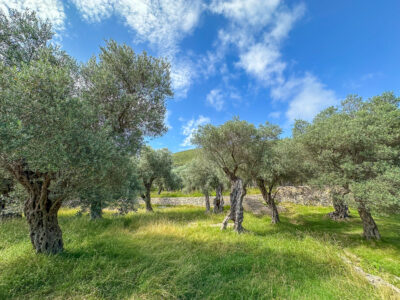 Montenegro reis ja loodusmatk - Ulcinj