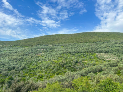 Montenegro reis ja loodusmatk - Ulcinj