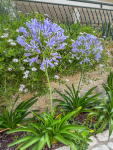 Montenegro reis ja loodusmatk - Portonovi