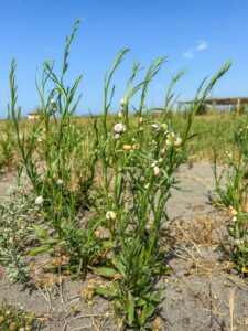 Montenegro reis ja loodusmatk - Long Beach