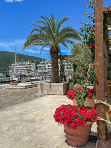 Montenegro reis ja loodusmatk - Portonovi