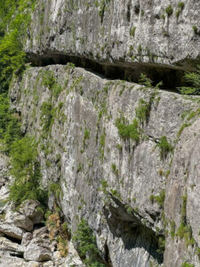 Montenegro reis ja loodusmatk - Mrtvica national park