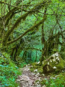 Montenegro reis ja loodusmatk - Mrtvica national park