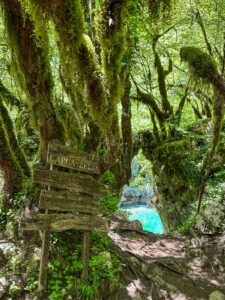 Montenegro reis ja loodusmatk - Mrtvica national park