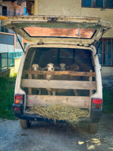 Montenegro reis ja loodusmatk - Prokletije National Park