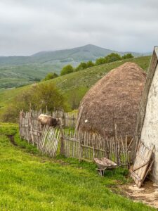 Montenegro reis ja loodusmatk - Durmitori rahvuspark - kohalik elu