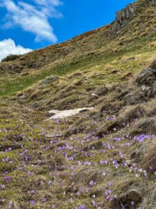 Montenegro reis ja loodusmatk - Durmitori rahvuspark