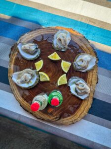 Montenegro reis ja loodusmatk - Kotori laht