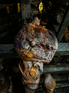 Montenegro reis ja loodusmatk - Njeguši