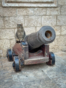 Montenegro reis ja loodusmatk - Kotor