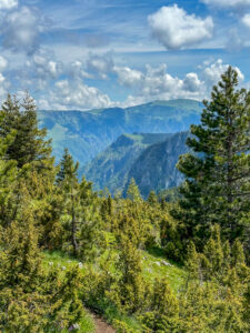 Montenegro reis ja loodusmatk - Durmitori rahvuspark - Tara kanjon