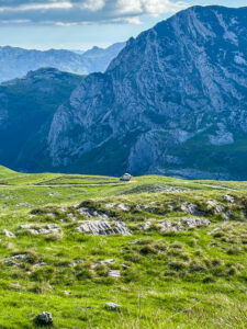 Montenegro reis ja loodusmatk - Durmitori rahvuspark