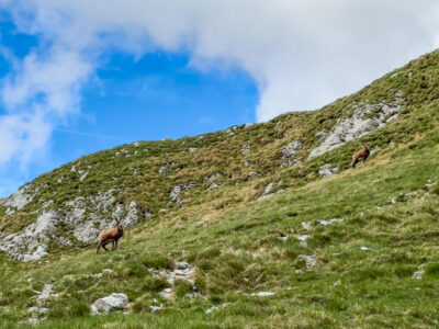 Montenegro reis ja loodusmatk - Durmitori rahvuspark