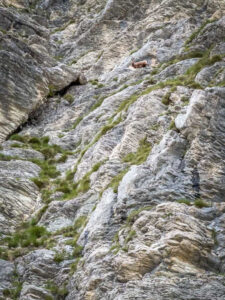 Montenegro reis ja loodusmatk - Durmitori rahvuspark