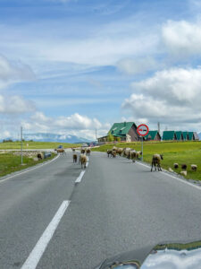 Montenegro reis ja loodusmatk - Durmitori rahvuspark - Žabljak