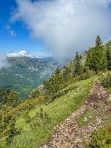 Montenegro reis ja loodusmatk - Durmitori rahvuspark - Tara kanjon