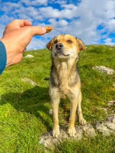 Montenegro reis ja loodusmatk - Durmitori rahvuspark