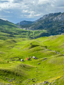 Montenegro reis ja loodusmatk - Durmitori rahvuspark