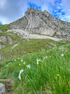 Montenegro reis ja loodusmatk - Durmitori rahvuspark