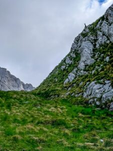 Montenegro reis ja loodusmatk - Durmitori rahvuspark