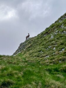 Montenegro reis ja loodusmatk - Durmitori rahvuspark