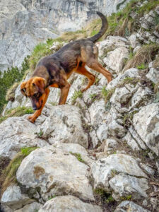 Montenegro reis ja loodusmatk - Durmitori rahvuspark - Bobotov Kuk