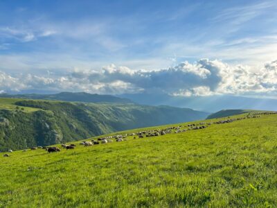 Montenegro reis ja loodusmatk - Durmitori rahvuspark