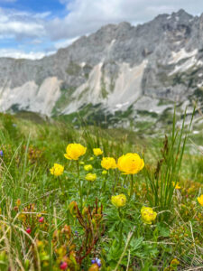 Montenegro reis ja loodusmatk - Durmitori rahvuspark