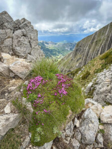 Montenegro reis ja loodusmatk - Durmitori rahvuspark