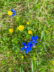 Montenegro reis ja loodusmatk - Durmitori rahvuspark