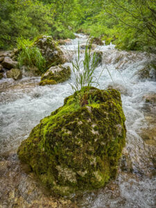 Montenegro reis ja loodusmatk - Durmitori rahvuspark