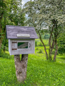 Montenegro reis ja loodusmatk - Durmitori rahvuspark