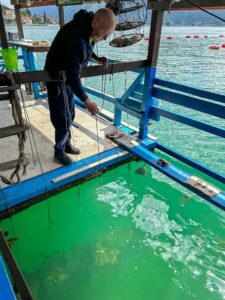 Montenegro reis ja loodusmatk - Kotori laht