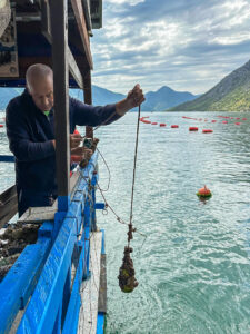 Montenegro reis ja loodusmatk - Kotori laht