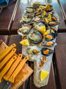 Montenegro reis ja loodusmatk - Kotori laht