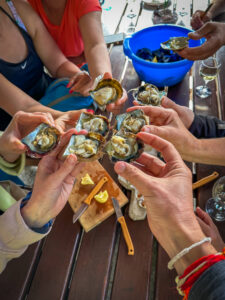 Montenegro reis ja loodusmatk - Kotori laht