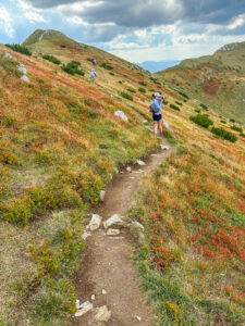Prutaši tipumatk - Montenegro reis ja loodusmatk - sept'25