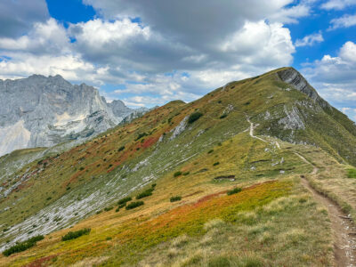 Prutaši tipumatk - Montenegro reis ja loodusmatk - sept'25